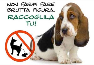 immagine-cani